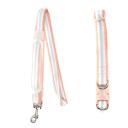 Imagen secundaria del producto Collar Con Correa Para Mascotas. Collar con correa, cuenta con estructura interna acolchada, hebilla ajustable, broche de seguridad y anillos tipo D para fijar la correa. Correa plana con mango macizo para mejor agarre. Material: Poliéster Color: Rosado con azul, morado con verde, amarillo con rosa, azul con amarillo. Disponible: Razas Pequeñas, medianas y grandes.