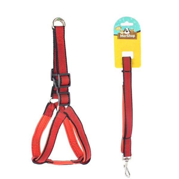 Imagen que muestra el producto Arnés Con Almohadilla Interna Talla S. Arnés con hebilla doble en la parte superior, broche de seguridad y anillos tipo D para fijar la correa. Material: Poliéster, metal Color: Rojo, azul, negro, verde Disponible: Razas medianas Medidas: TALLA S CUELLO 30-41 CM TORSO MIN-MAX 41-53 CM PESO MAXIMO – APROX 5-11 KG, TRAILLA 1,20 CM