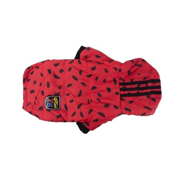 Imagen que muestra el producto Chaqueta Impermeable Con Capota. Chaqueta impermeable con capota, cuenta con velcro ajustable. Material: Poliéster Color: Rojo, gris, morado, beige Disponible: Razas pequeñas y medianas.