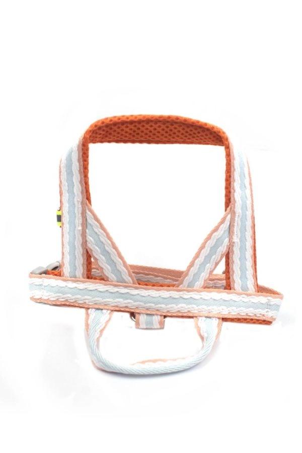 Imagen que muestra el producto Arnés Sin Correa Para Mascotas. Arnes para mascotas, cuenta con hebilla ajustable, broche de seguridad y anillo tipo D para fijar la correa. Material: Poliéster Color: Rosado con amarillo, verde con morado, azul con naranja. Disponible: Razas pequeñas y medianas.