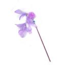 Imagen secundaria del producto Juguete Palo Con Plumas Para Mascotas. Caña para mascotas con bolita de felpa y plumas. Material: Poliéster, plástico, plumas  Color: Azul, amarillo, rosado, morado, verde  Disponible: Razas pequeñas