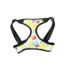 Imagen secundaria del producto Pechera Con Estampado Frutas Para Mascotas. Pechera con estampado de frutas, cuenta con bordes reflectivos, hebillas ajustables, broche de seguridad y anillos tipo D para fijar la correa. Material: Poliéster, metal Color: Rosado, celeste, azul rey, azul claro Disponible: Razas pequeñas, medianas y grandes Medidas: TALLA M: CUELLO  40-53 CM TORSO MIN-MAX 56-58 PESO MAXIMO – APROX 11-23 KG TALLA L: CUELLO 46-66 CM TORSO MIN-MAX 61-76 CM PESO MAXIMO APROX 23-36 KG TALLA XL: CUELLO 70-81 CM TORSO  MIN-MAX 70-82 CM PESO MAXIMO – APROX 36-50 KG TALLA XXL: CUELLO  77-98 CM TORSO MIN-MAX 86-102CM PESO MAXIMO – APROX 51-80 KG
