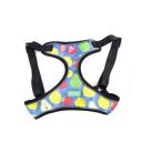 Imagen secundaria del producto Pechera Con Estampado Frutas Para Mascotas. Pechera con estampado de frutas, cuenta con bordes reflectivos, hebillas ajustables, broche de seguridad y anillos tipo D para fijar la correa. Material: Poliéster, metal Color: Rosado, celeste, azul rey, azul claro Disponible: Razas pequeñas, medianas y grandes Medidas: TALLA M: CUELLO  40-53 CM TORSO MIN-MAX 56-58 PESO MAXIMO – APROX 11-23 KG TALLA L: CUELLO 46-66 CM TORSO MIN-MAX 61-76 CM PESO MAXIMO APROX 23-36 KG TALLA XL: CUELLO 70-81 CM TORSO  MIN-MAX 70-82 CM PESO MAXIMO – APROX 36-50 KG TALLA XXL: CUELLO  77-98 CM TORSO MIN-MAX 86-102CM PESO MAXIMO – APROX 51-80 KG