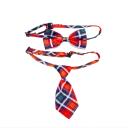 Imagen que muestra el producto Duo Corbata Y Corbatin Para Mascotas. Set corbata y corbatín para mascotas, cuentan con broches de seguridad. Material: Poliéster Color/estampado: Morado huellas y huesos, rojo huellas, rojo estillo tartán, morado gatos, multicolor cuadros, morado huellas. Disponible: Razas pequeñas y medianas.