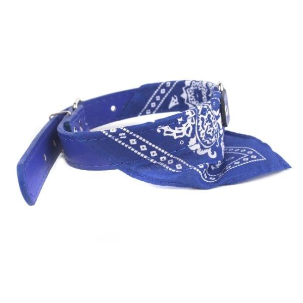 Imagen que muestra el producto Collar  Con Pañoleta Para Mascotas. Collar con pañoleta estampada, cuenta con 6 puntos para ajustar a la medida y anillo tipo D para fijar a la correa. Material: Poliéster, metal    Color: Rojo, negro, azul, rosado    Disponible: Razas pequeñas. Medidas:  Largo 43 cm * Ancho 8 cm