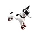 Imagen secundaria del producto Zapatos Unicolor Para Mascotas. Zapatos para mascotas con velcro ajustable, cremallera y suela de goma, en tallas 1, 2, 3, 4 y 5. Material: Poliéster                                                                                                                                                                                                                                                                                                      Color: Azul, rojo, negro, rosado                                                                                                                                                                                                                                                                 Disponible: Razas pequeñas y medianas.