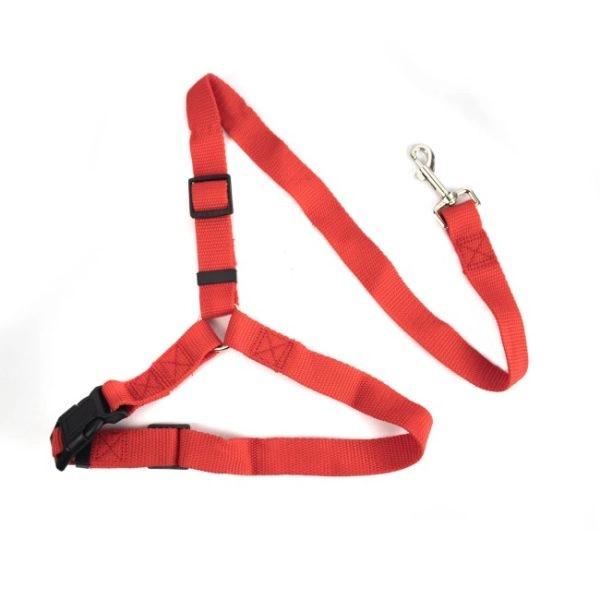 Imagen que muestra el producto Correa Cabecero De Carro Para Mascotas. Correa para cabecero de asiento de carro, cuenta con broche de seguridad y hebilla ajustable. Material: Poliéster Color: Rojo, negro, azul Disponible: Razas peeuñas, medianas y grandes