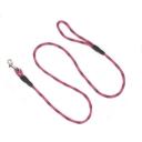 Imagen que muestra el producto Correa De Rayas Para Mascotas. Correa con mango cómodo y gancho para fijar al arnés o collar. Material: Poliéster, metal Color: Rojo, verde, azul, rosado Disponible: Razas pequeñas, medianas y grandes