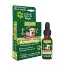 Imagen que muestra el producto Esencia Aprendizaje Natural Freshly 25 Ml. Esencia Aprendizaje Natural Freshly equilibra mente y cuerpo. Refuerza la capacidad de concentración de su mascota, favoreciendo el aprendizaje. Ingredientes: Armonica asociación de esencias florales.  Presentación: Frasco x 25 ml con gotero Disponible: Para perros y gatos de todas las razas y edades.