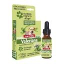 Imagen que muestra el producto Esencia Valeriana Lets Go Natural Freshly 25 Ml. Esencia Valeriana lets go Natural Freshly que nivela a su mascota mental y corporalmente, protegiéndolo de emociones y energía negativas o destructivas. Ingredientes: Armonica asociación de esencias florales.  Presentación: Frasco x 25 ml con gotero Disponible: Para perros y gatos de todas las razas y edades.